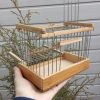 Wooden Bird Cage Trap Birds Handmade bird catcher 1 Trap