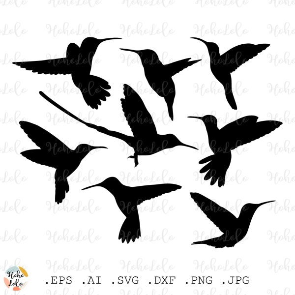 Hummingbird Svg