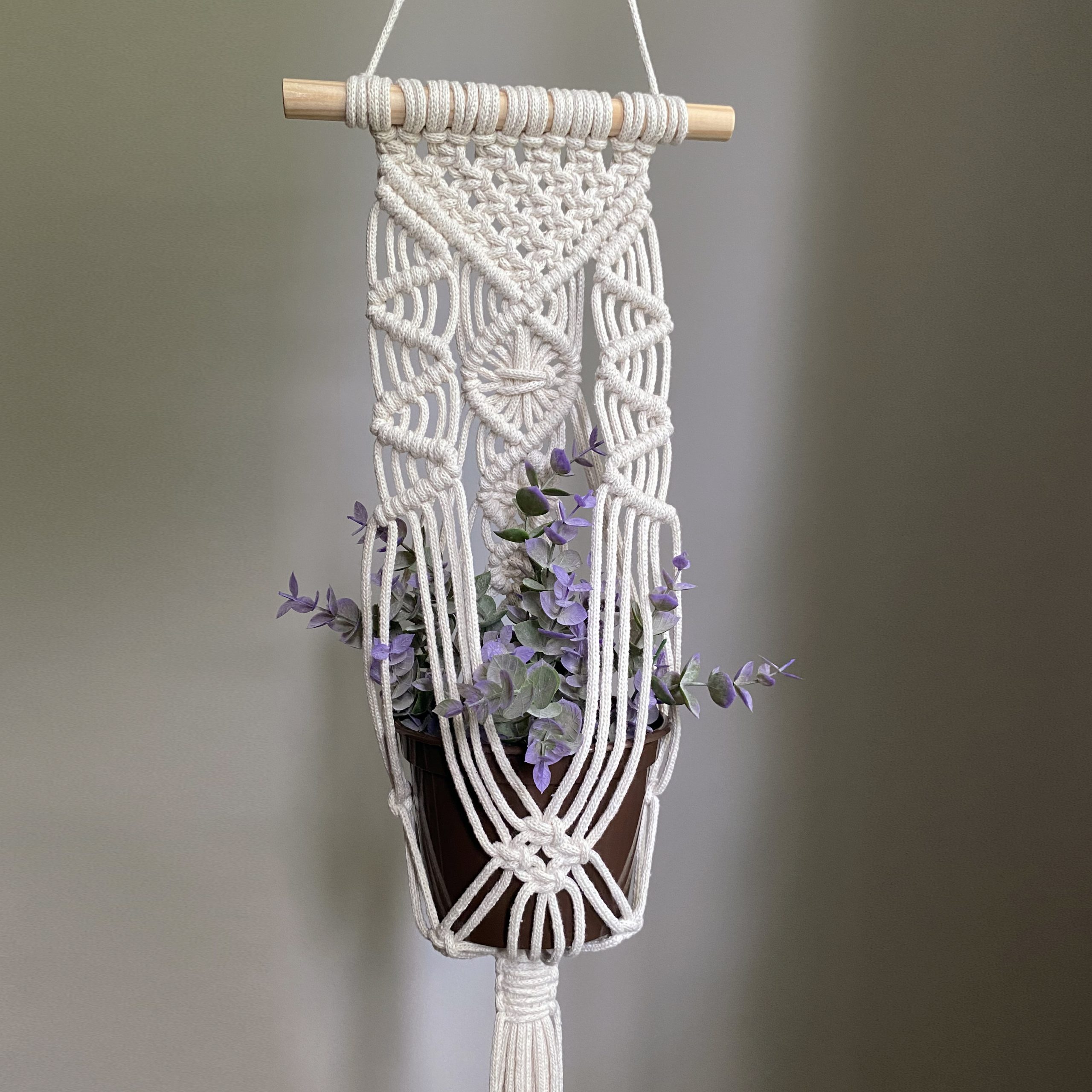 Suspension intérieure plante cintre cuir plante hamac intérieur jungle air  plante cintre macramé porte-plante minimal planteur hygge décor VENTE -   France