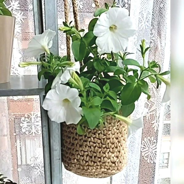 Wall plant hangers ideas Garden decor
