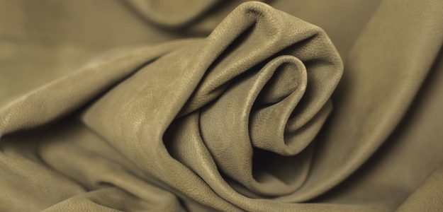 BEATUS store banner