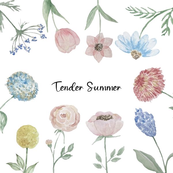 Blue and pink watercolor pastel flowers cipart