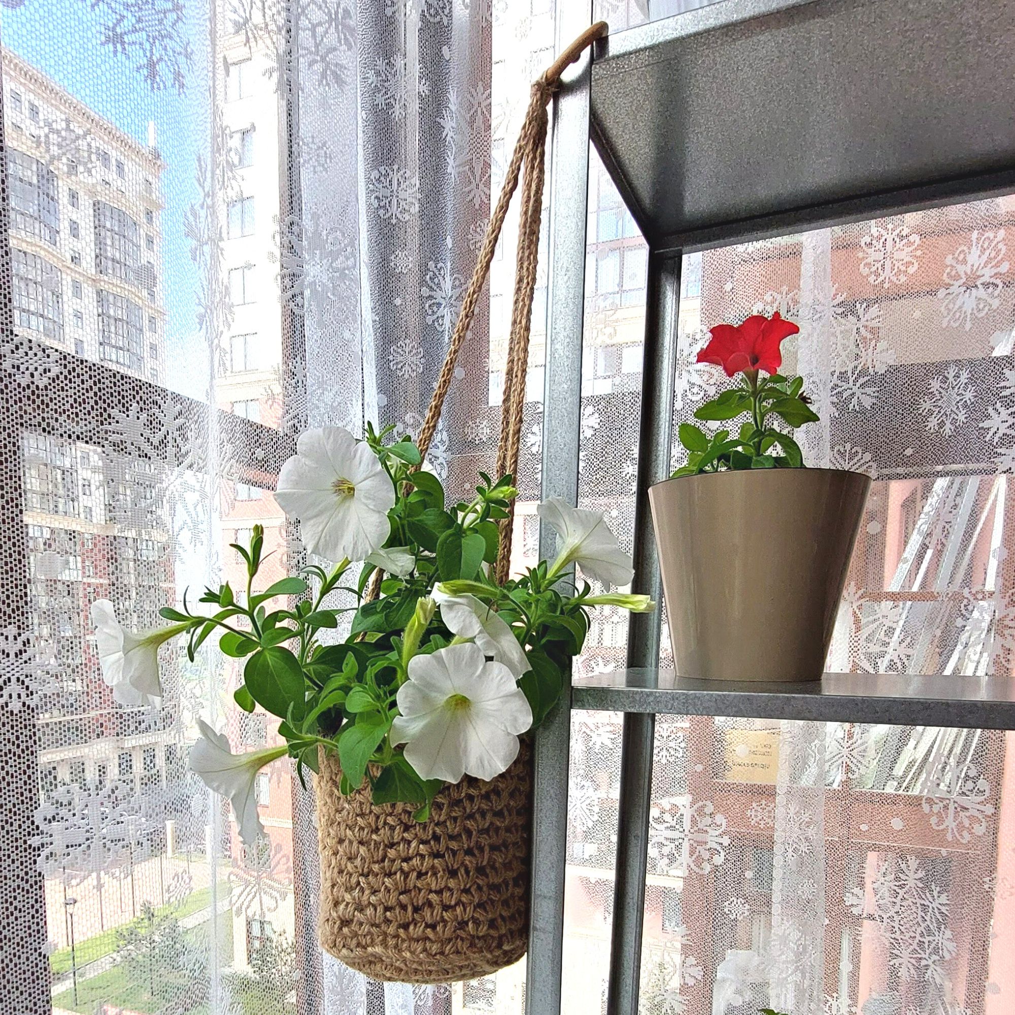 Wall plant hanger Garden and room decoration 2 Plant wall hanger ideas