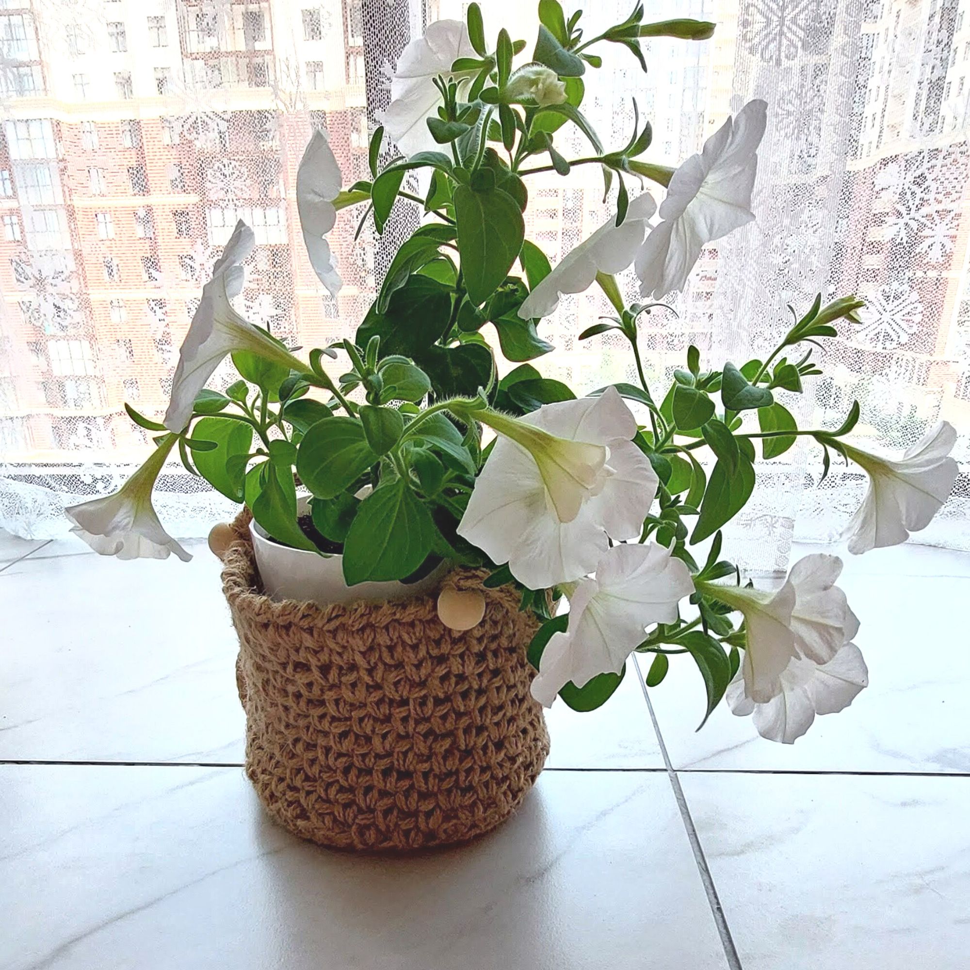 Wall plant hanger Garden and room decoration 5 Wall plant hanger ideas Garden decor