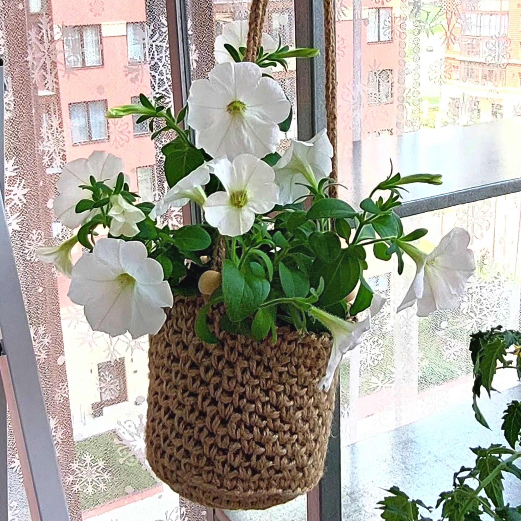 Wall plant hanger Garden and room decoration 9 Wall plant hanger ideas Garden decor