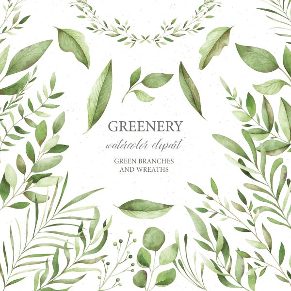 Greenery clipart