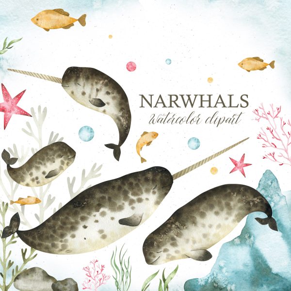Narwhal clip art