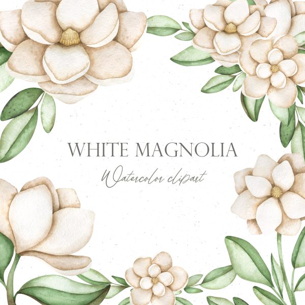 Magnolia flowers clip art
