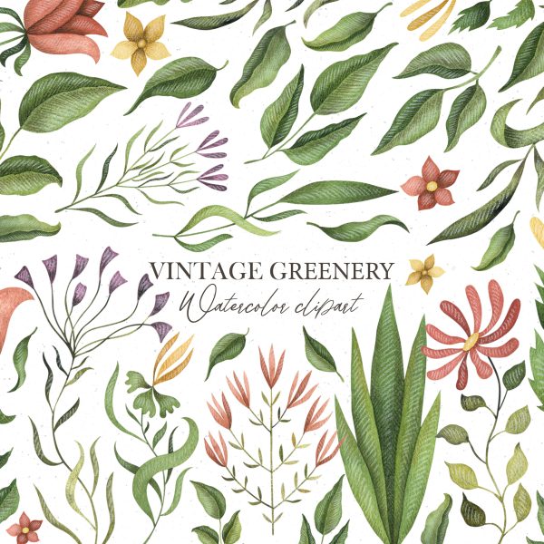 Vintage nature clip art