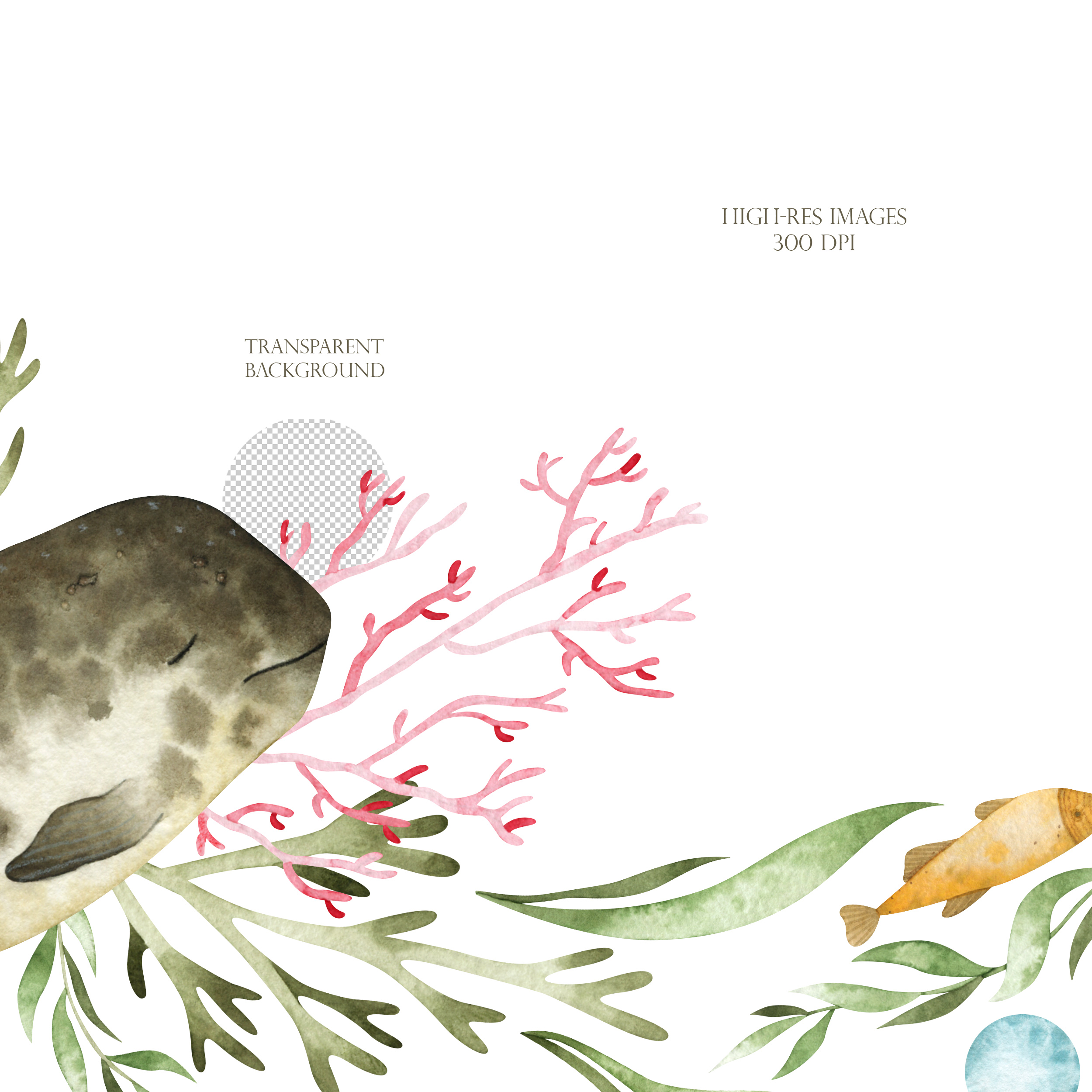 Watercolor nautical wreath. Underwater frame clipart 4 Watercolor nautical wreath. Underwater frame clipart - Image 4