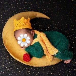 Set “The Little Prince”, newbornprops, photoprops, newborn