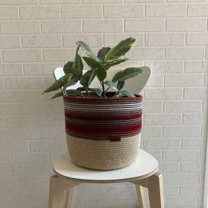 Large_plant_basket_for_plant