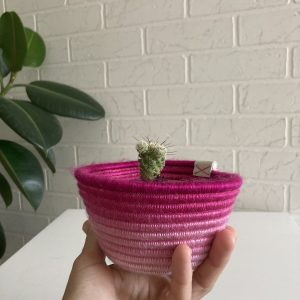 Small_cactus_pot