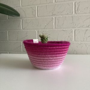 Small_cactus_pot