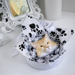 Gift for cat lovers