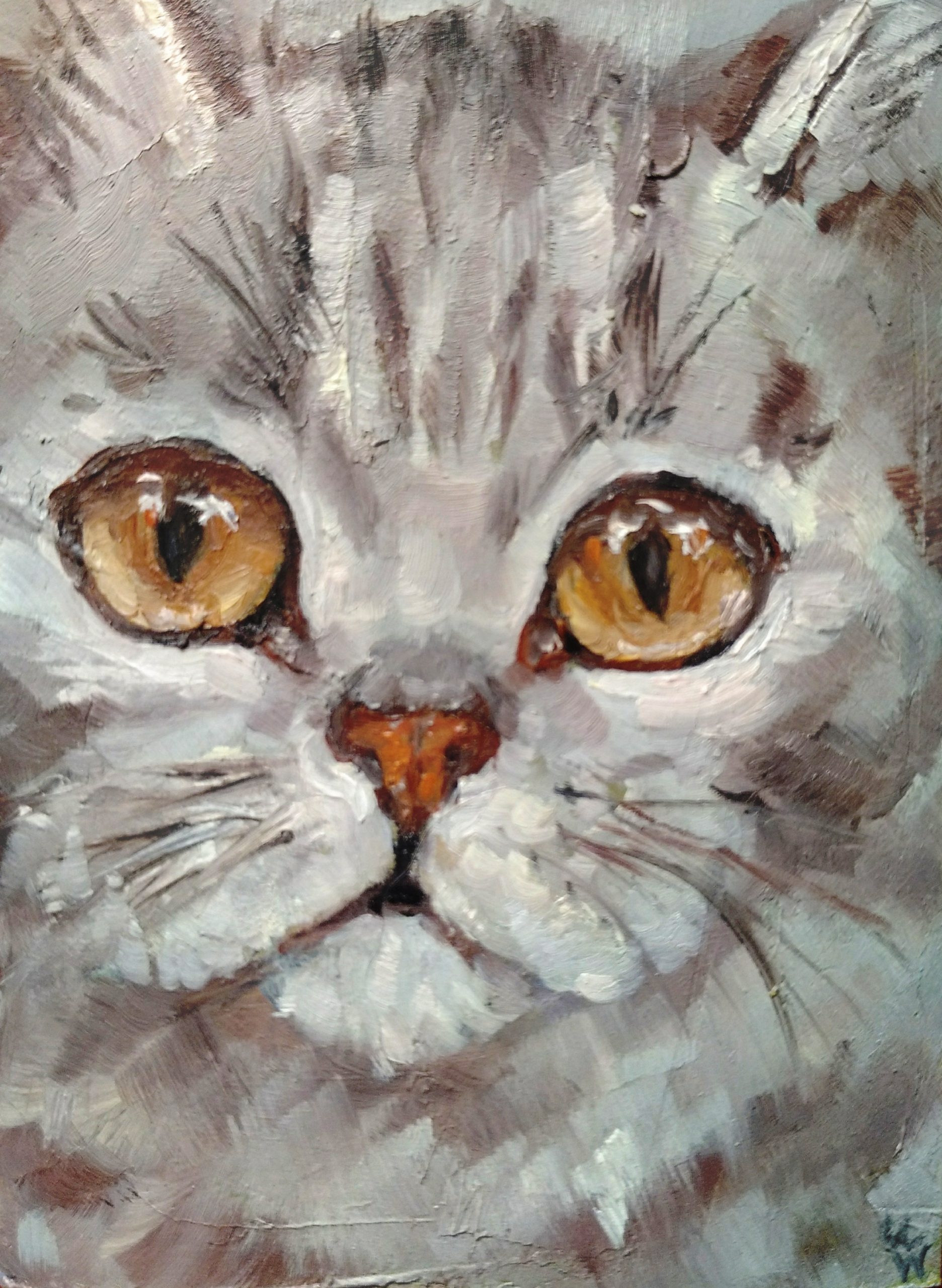 Oil painting of pastel renaissance painting of grumpy cat,by hsiao