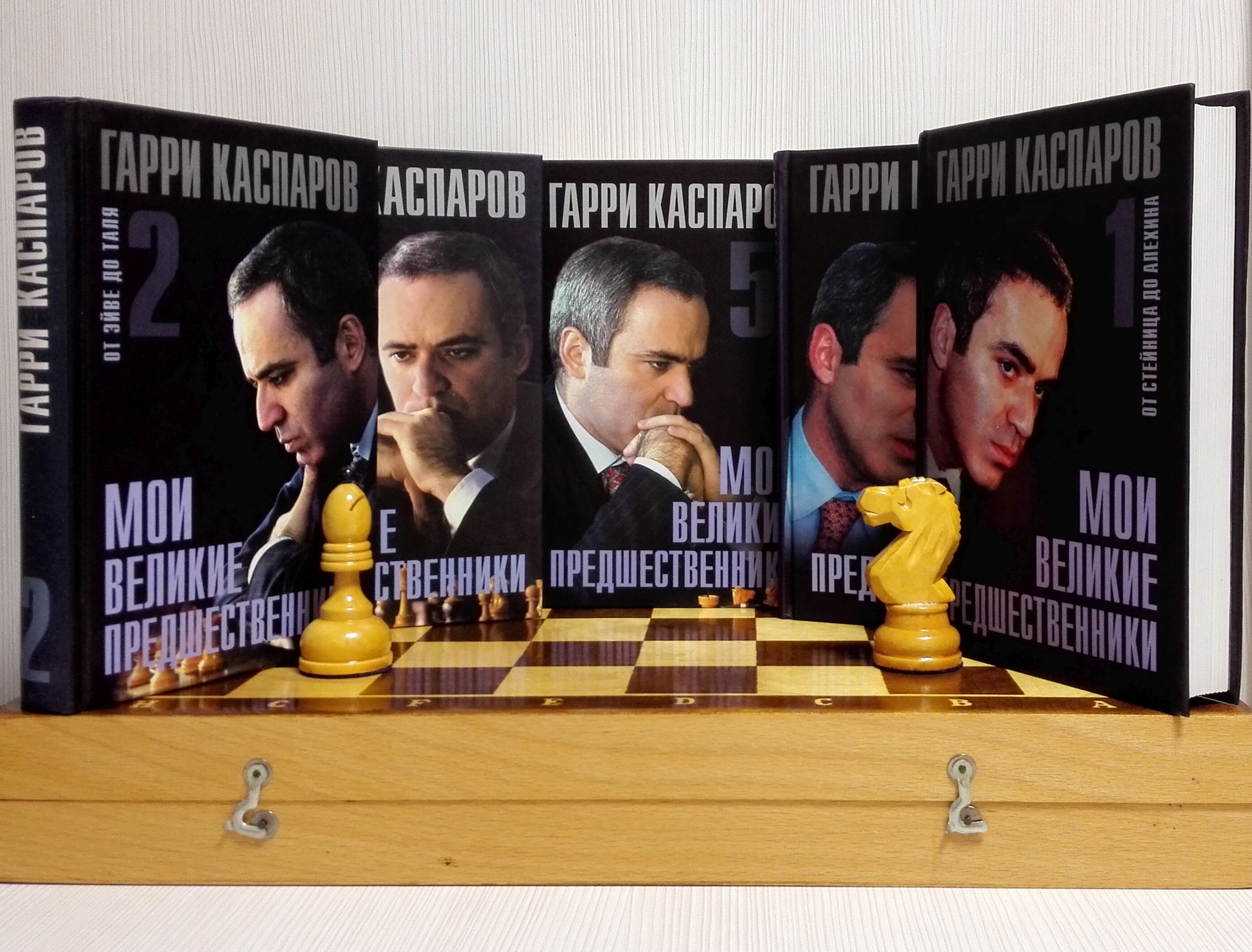 Garry Kasparov Vintage Soviet Chess Books. Antique Chess