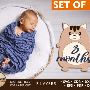 Monthly Milestone Bundle for Cute Baby Photos