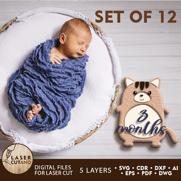 Monthly Milestone Bundle for Cute Baby Photos 1 Monthly Milestone Bundle for Cute Baby Photos