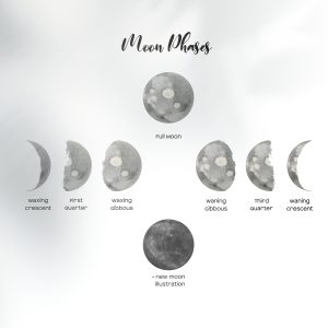 Watercolor Moon Phases Clipart, 8 PNG Ethereal Moon Phases