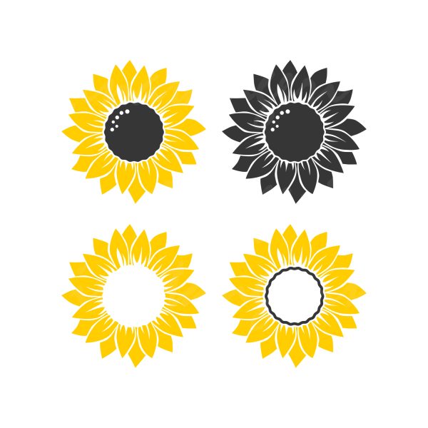 Sunflower designs print for t-shirt