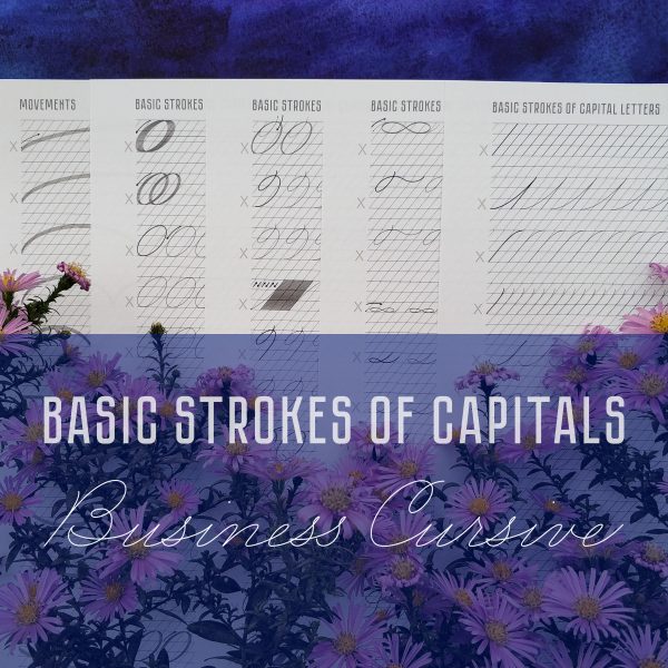 Business Cursive Basic Strokes of Capital Letters