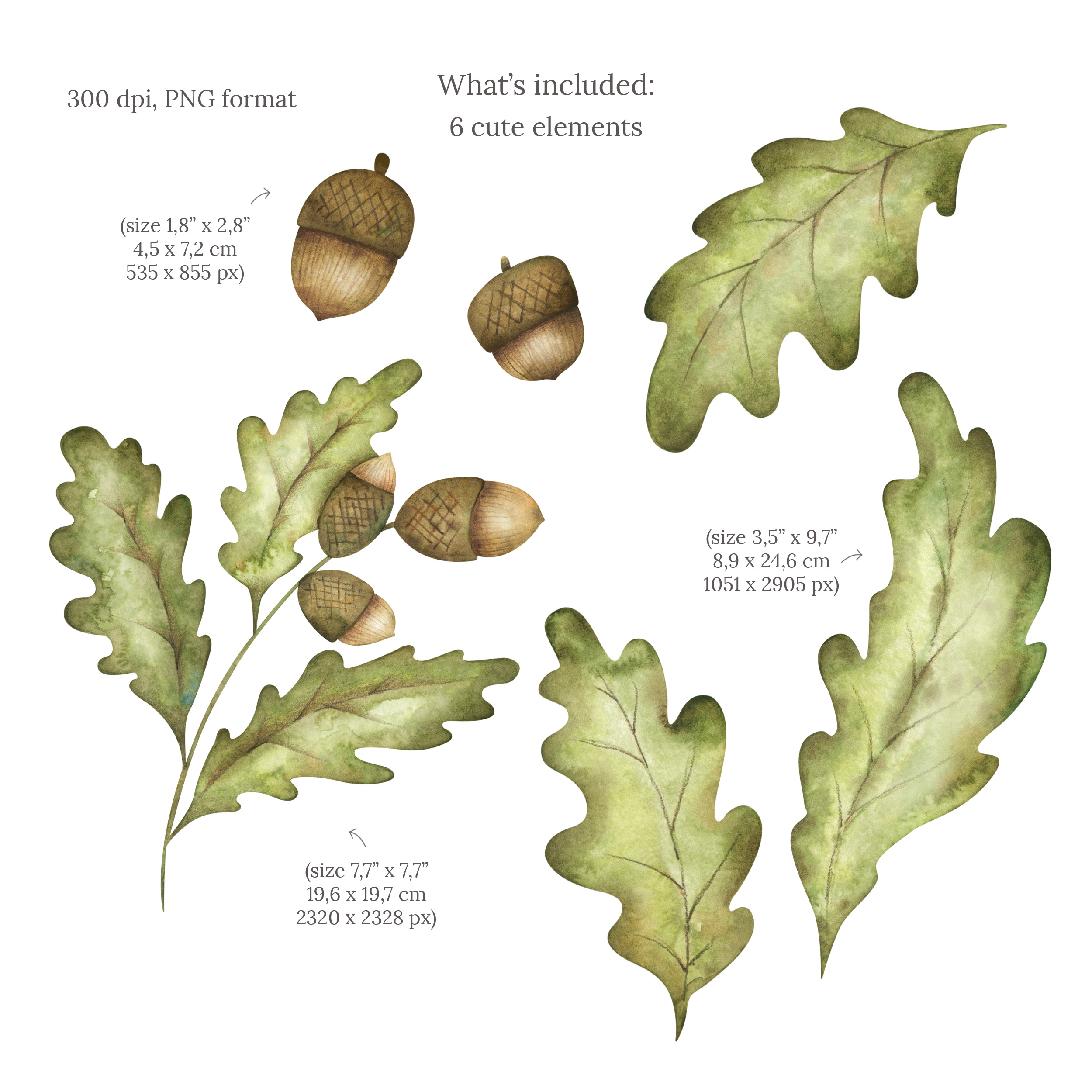 Watercolor acorn clipart. Oak leaves, seamless patterns 2 Watercolor acorn clipart. Oak leaves, seamless patterns - Image 2