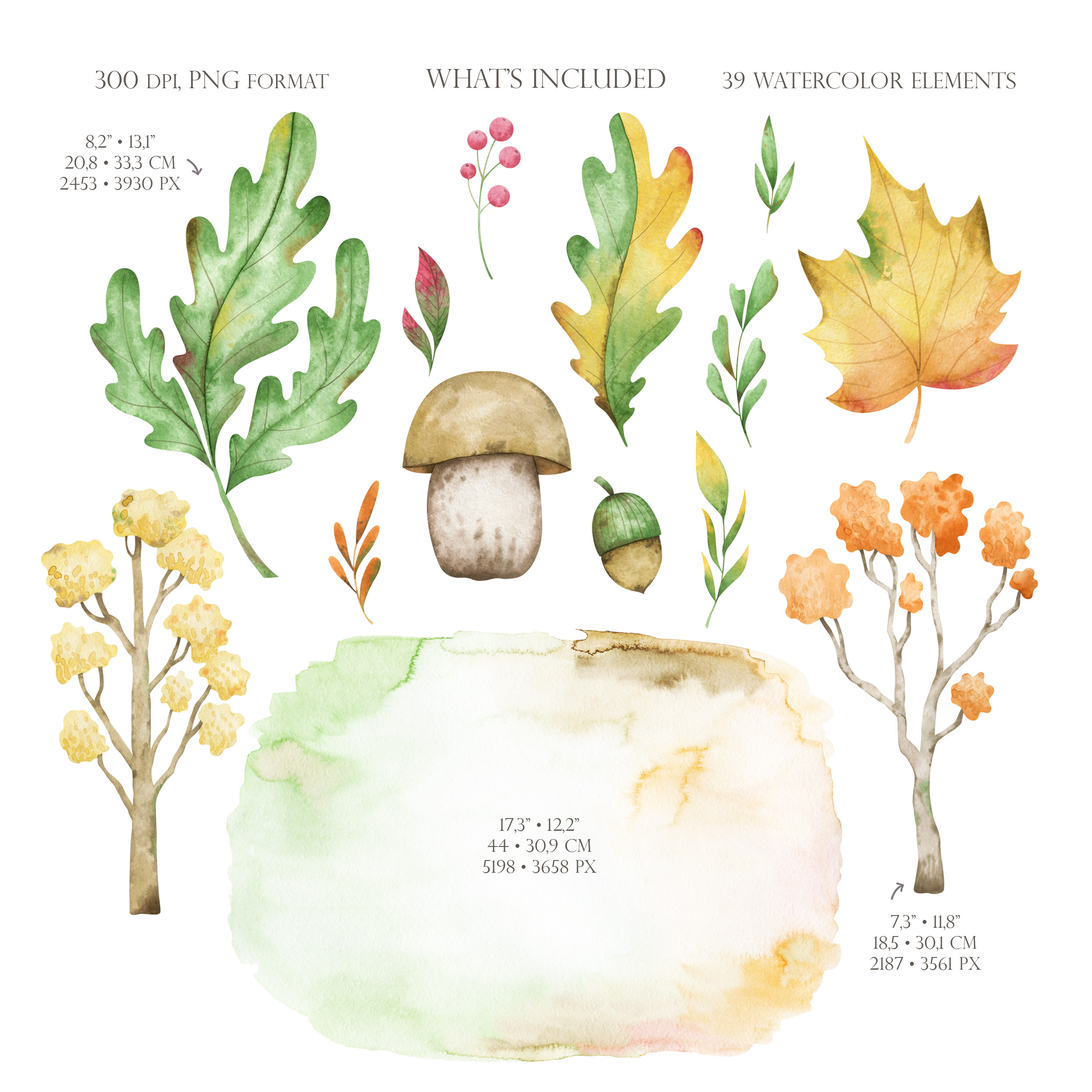 Watercolor fall clipart. Cozy autumn with trees, mushrooms, oak 3 Watercolor fall clipart. Cozy autumn with trees, mushrooms, oak - Image 3