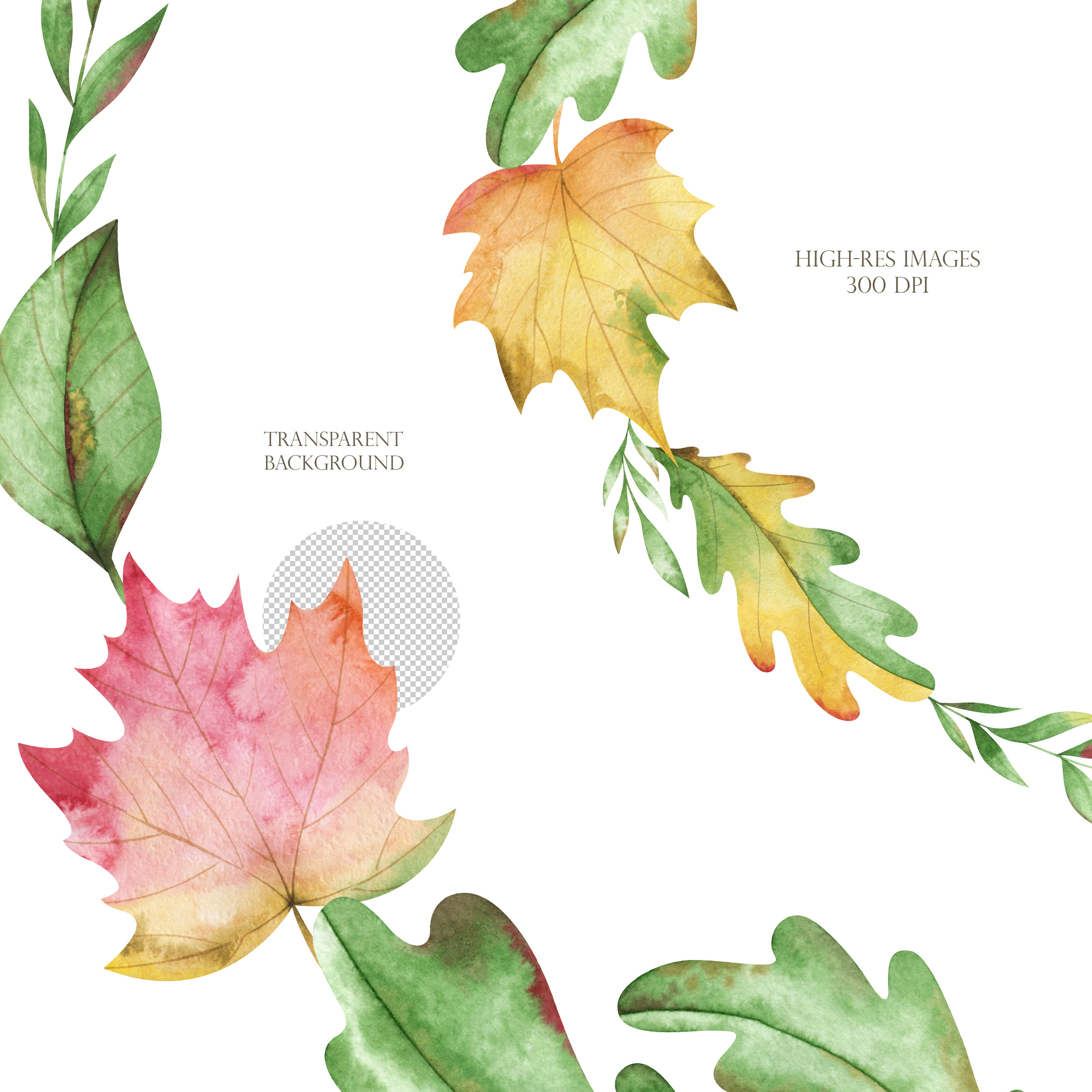 Watercolor fall wreath. Autumn frames clipart 4 Watercolor fall wreath. Autumn frames clipart - Image 4