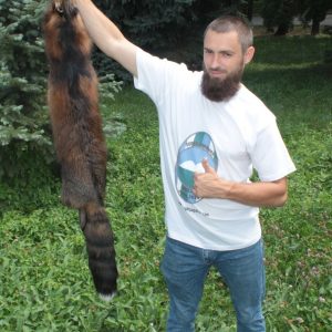 Red fox fur/Luxe fox hide/foxskin/real fox fur/natural fox fur