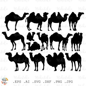 Camel Svg Silhouette
