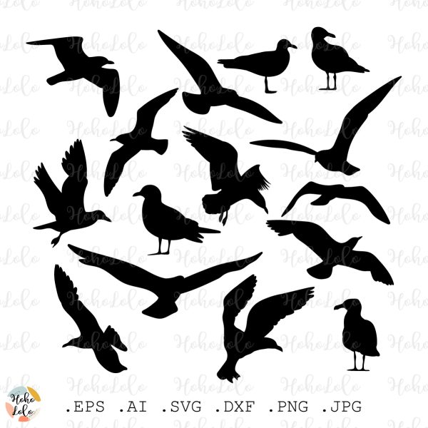 Sea Gulls Svg