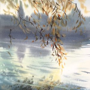 Willow branches bent over the smooth surface of water – Watercolor