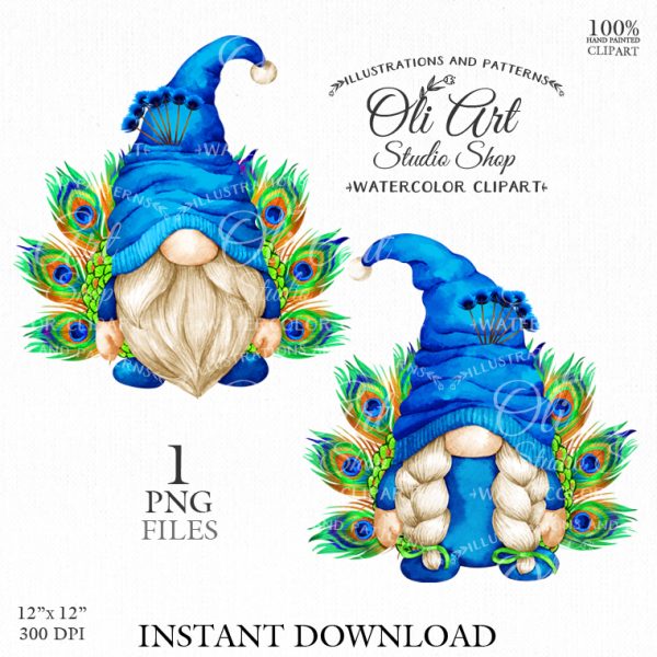 Peacock gnome, clip art png, cute characters, hand drawn graphics