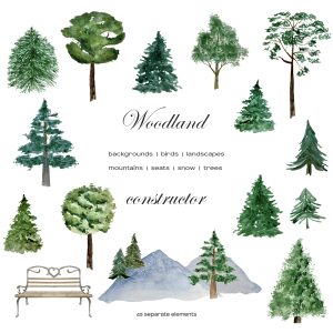 Watercolor forest lanscape clipart, tree illustration PNG