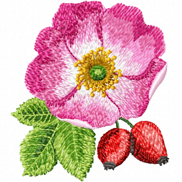 machine-embroidery-design-wild-rose