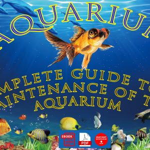 Aquarium. A complete guide to the maintenance of all types of aquarium fish, plants and aquariums. Encyclopedia of Aquarium.