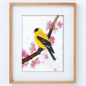 American Siskin original watercolor bird painting 8×11 inches art by Anne Gorywine