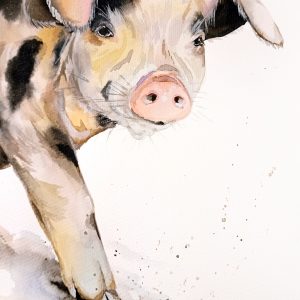 Home 383 Pig Watercolor wall decor original animal painting aquarelle by Anne Gorywine