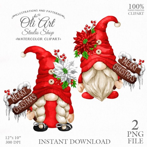 Christmas gnome. Christmas Star Poinsettia. Cute Characters