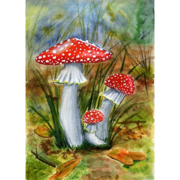Fly Agaric Painting 12*8" Watercolor Autumn Art by Yalozik