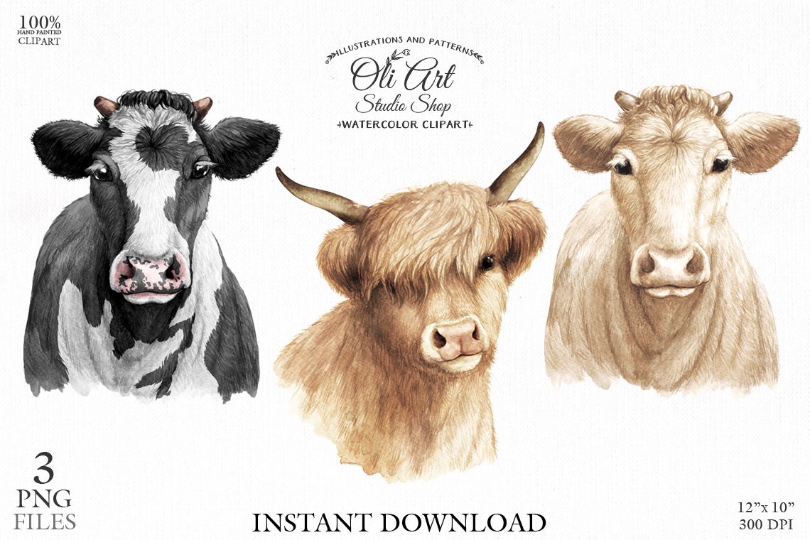 cattle head clipart