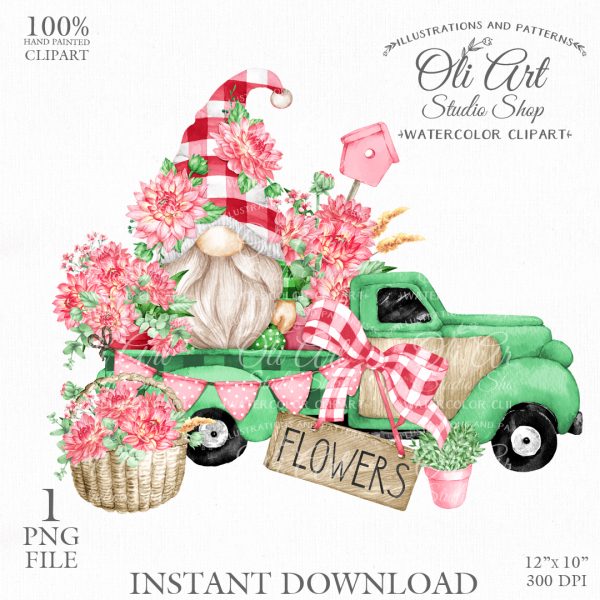 Gnomes truck, dahlias, digital clipart. Pink flowers.