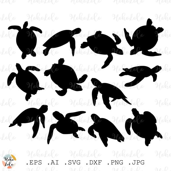Turtle Svg