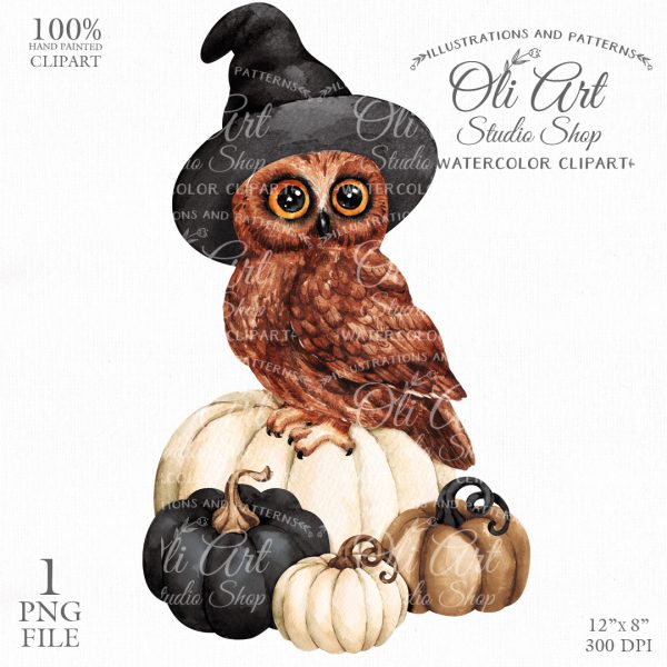 Halloween owl and pumpkins clipart