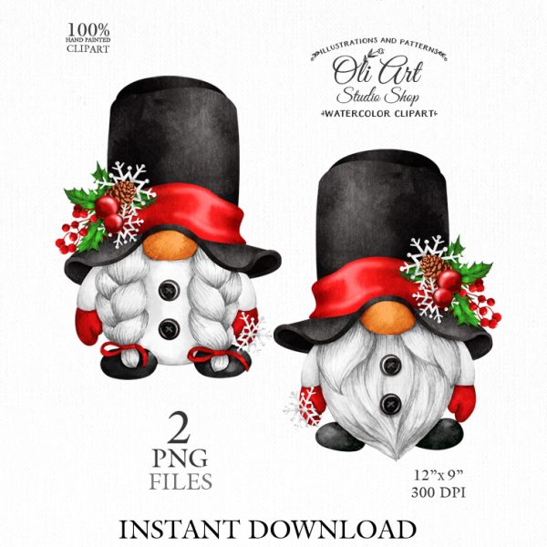 Watercolor christmas gnomes clipart png