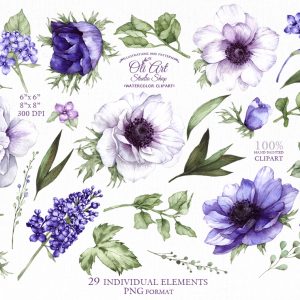 Watercolor flowers clipart png. Violet floral, Anemone flowers. Hand Painted