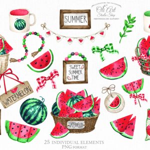 Watermelon decor clipart, summer designs, hand drawn graphics