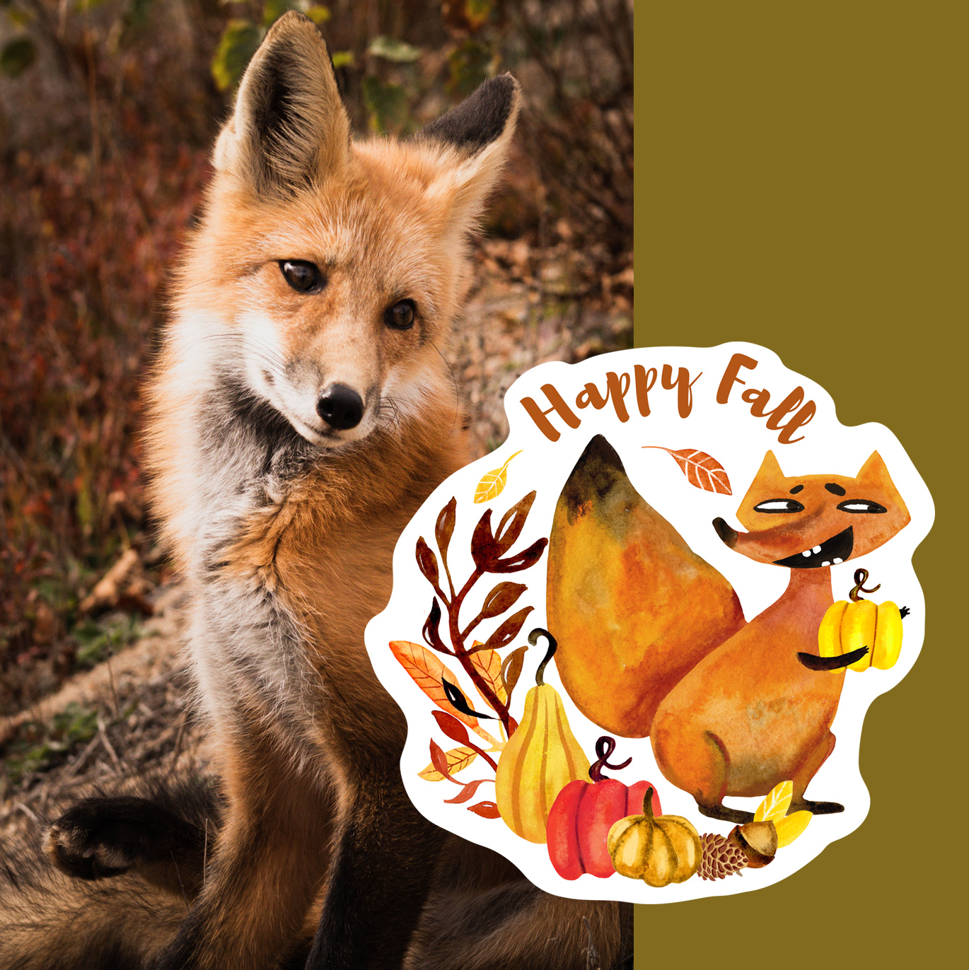 Watercolor autumn funny characters fox rabbit stickers 20 png 3 autumn activities kindergarten