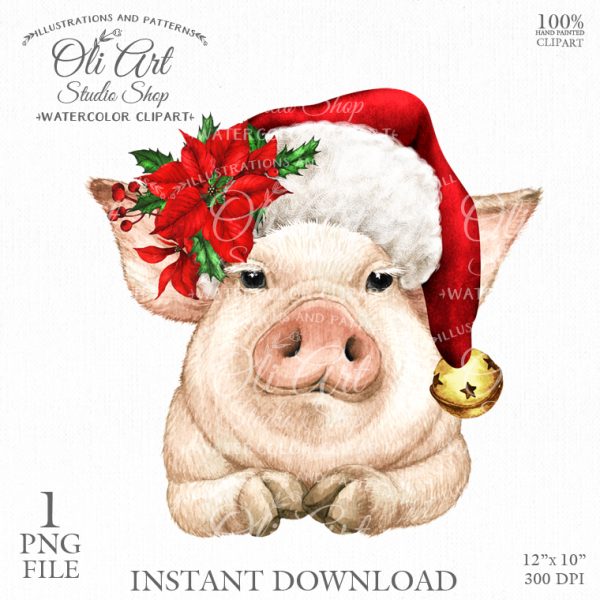 Christmas pig clipart PNG, santa hat, poinsettia. Winter flowers